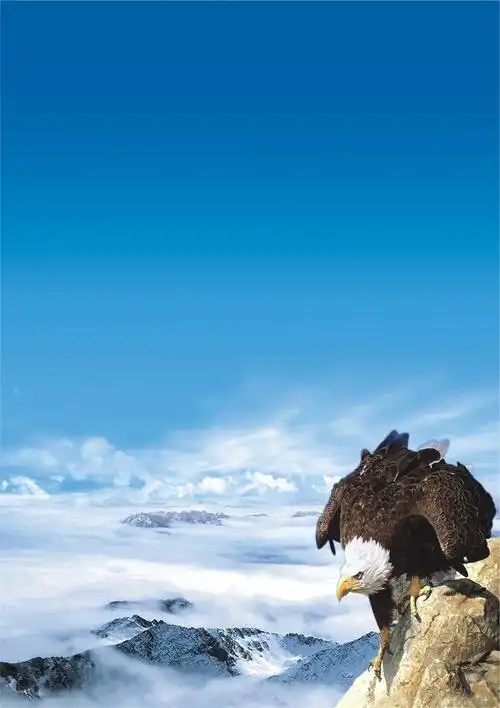 桶装水怎么报销